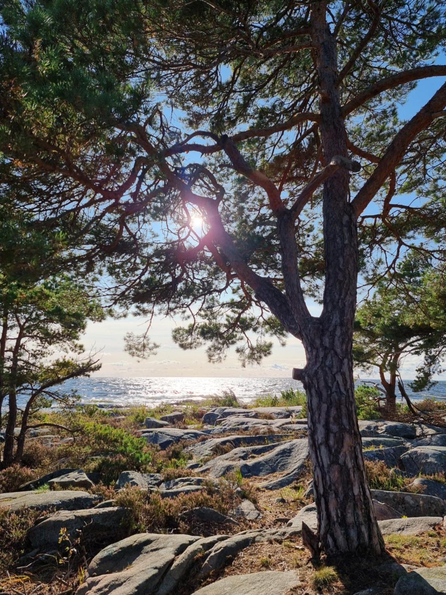 Вилла Sunne Stugcenter 12 Grasmark Экстерьер фото