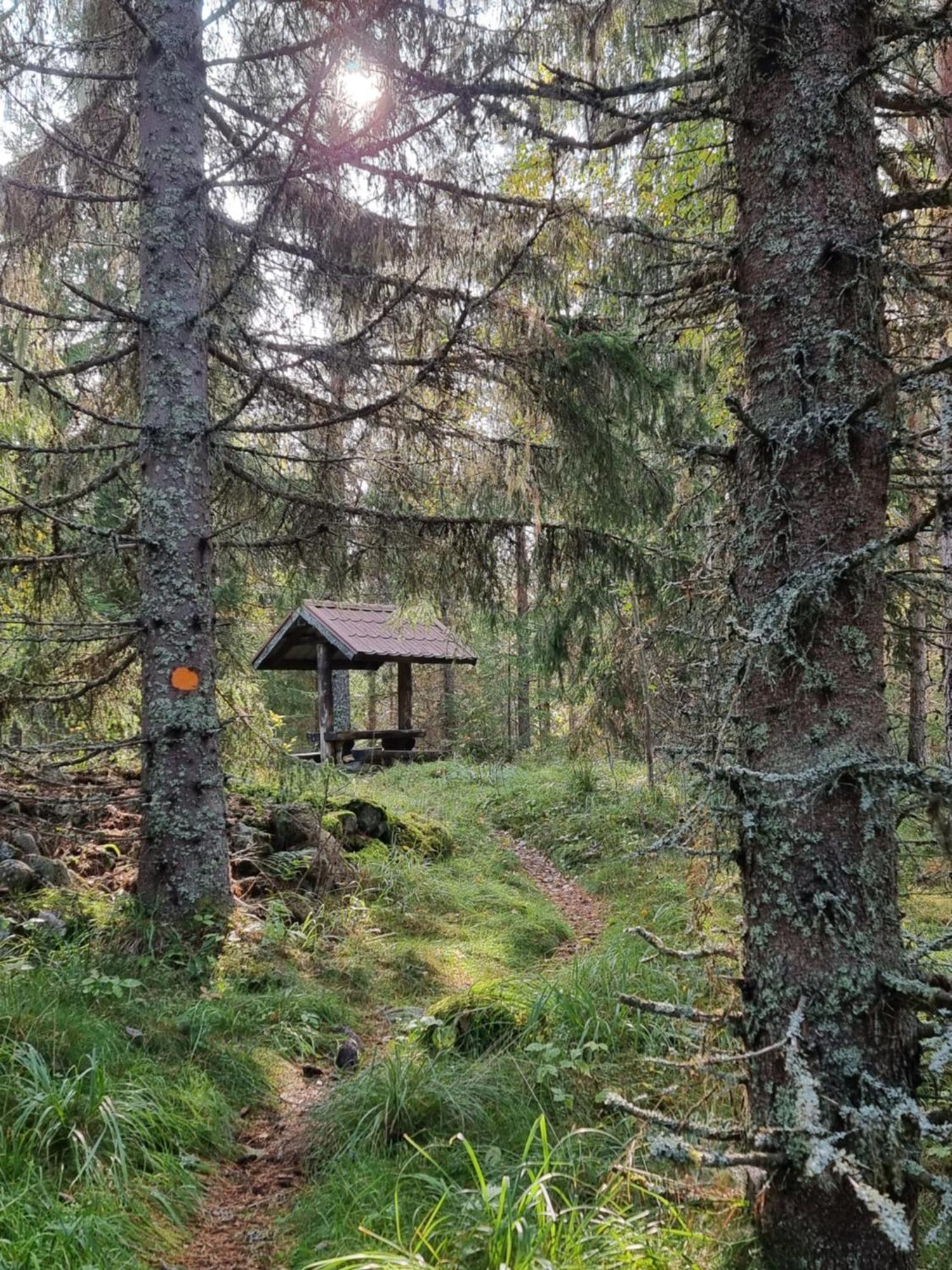 Вилла Sunne Stugcenter 12 Grasmark Экстерьер фото
